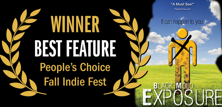 Black Mold Exposure Documentary Film Movie DVD sale black friday cyber monday