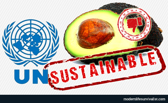 unsustainable-avocados-agenda21-neworldorder-unitednations