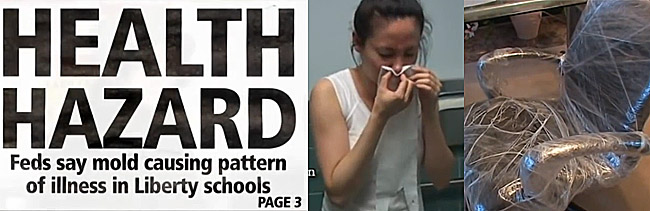 black mold exposure documentary dvd film stachybotrys review testimonials anecdotes 