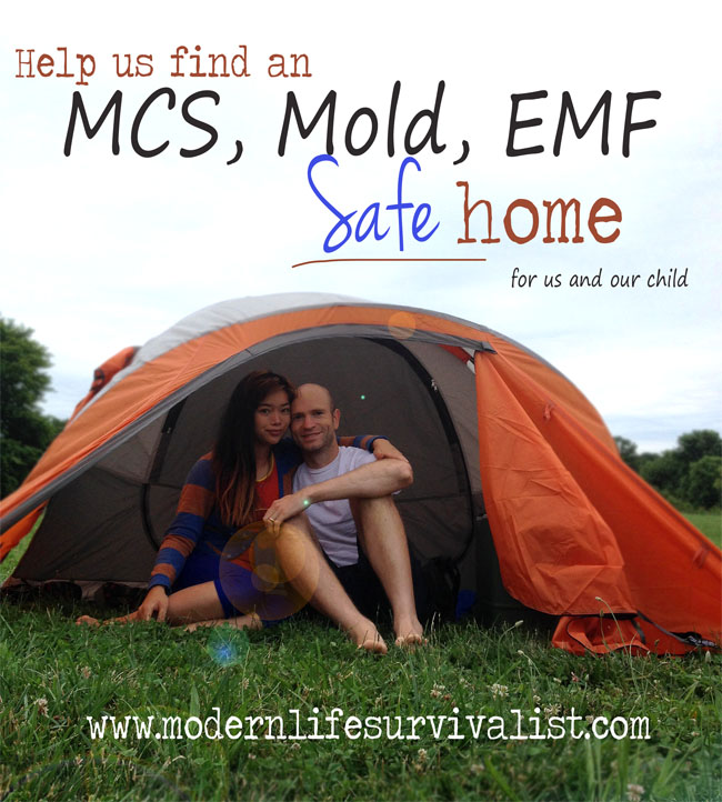 Help us find an MCS, Mold, and EMF safe home for us and our child