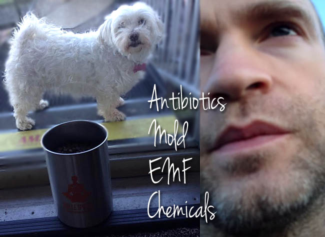 My antibiotics, EMFs, mold, chemical sensitivity