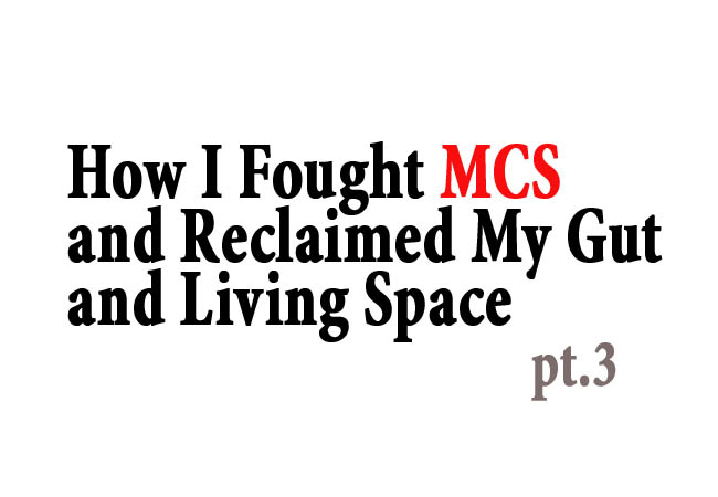 How I Fought MCS and Reclaimed My Gut and Living Space copy
