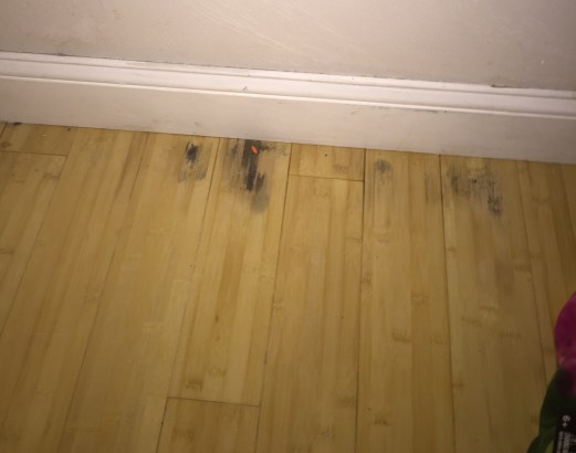 9BED6537-1427-415B-A5DA-AE0FA9171592