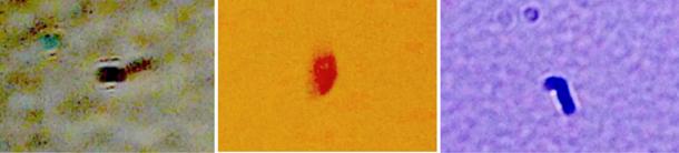 Photographs of ITE-1s