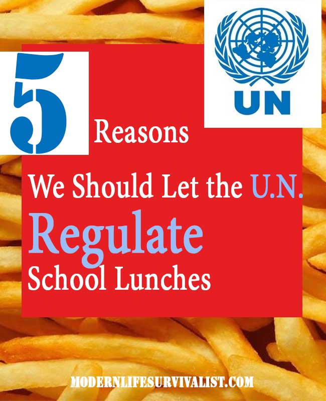 5 Reasons We Should Let the United Nations (UN) Regulate School Lunches